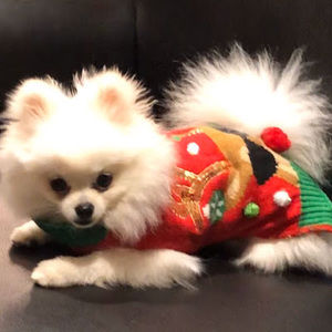 Meet your Posher, Kira